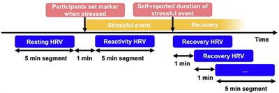 Physiological stress reactivity and recovery: Some laboratory results transfer to daily life